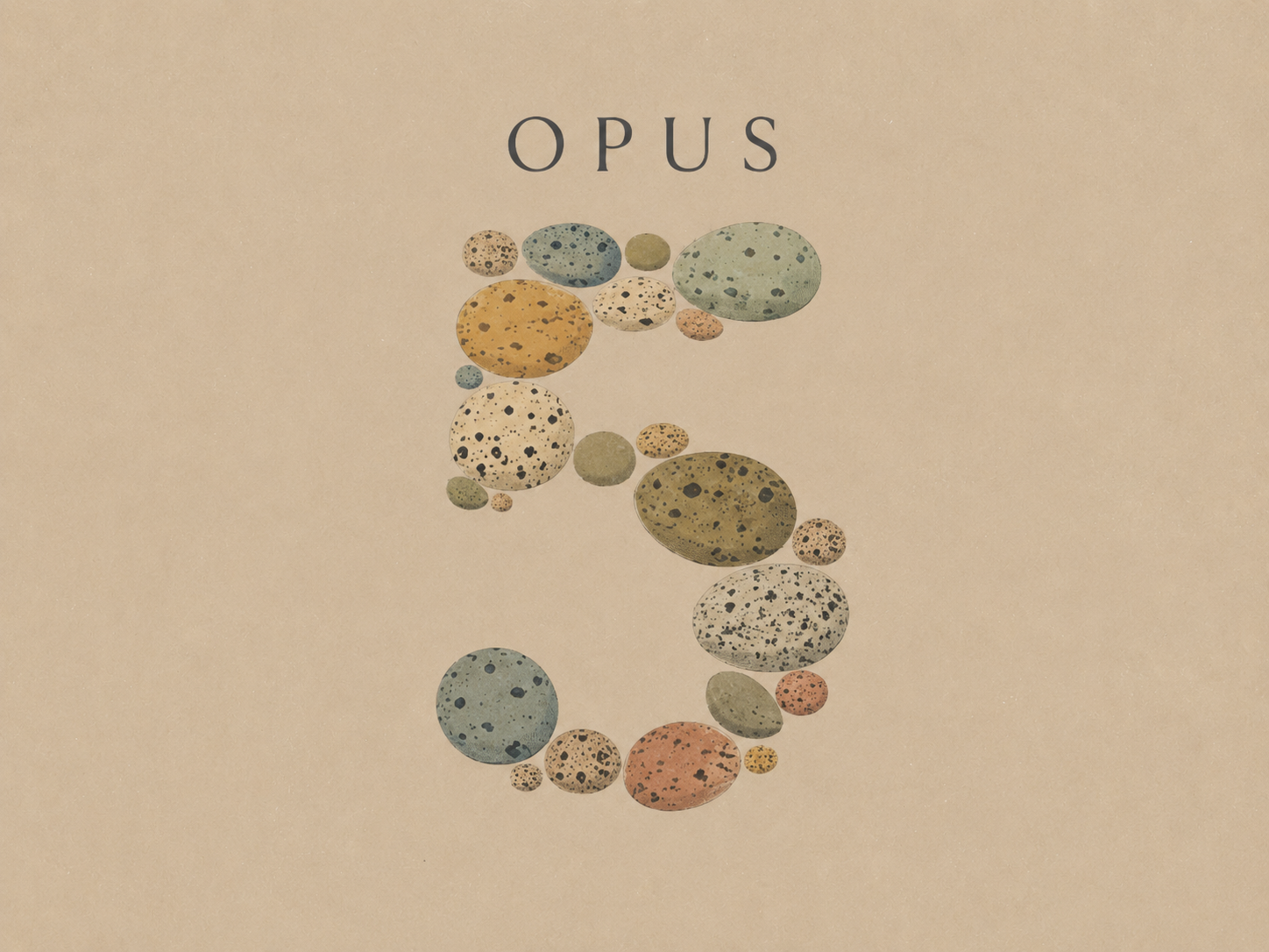 Claude Opus 5: Anthropic bringt schnelleres und effizienteres KI-Modell